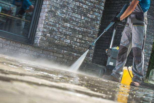 Best Animal Enclosure Cleaning  in Aurora, IN